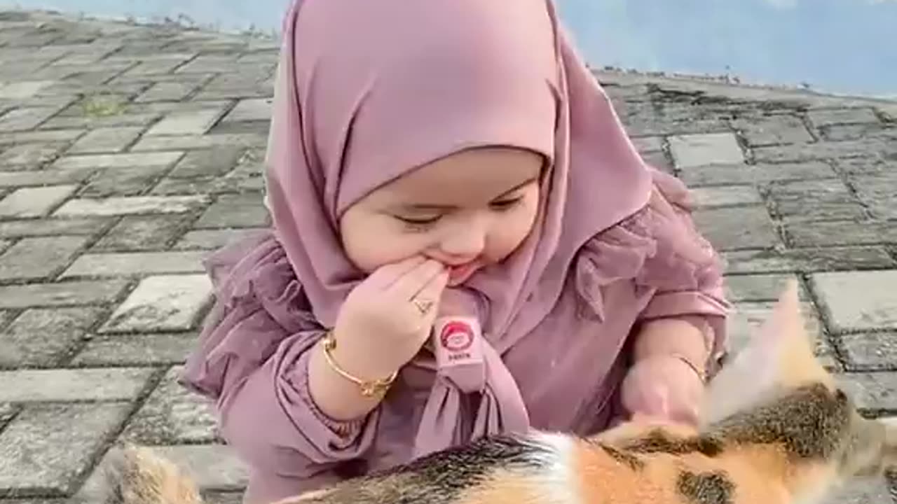 Cats Love Babies