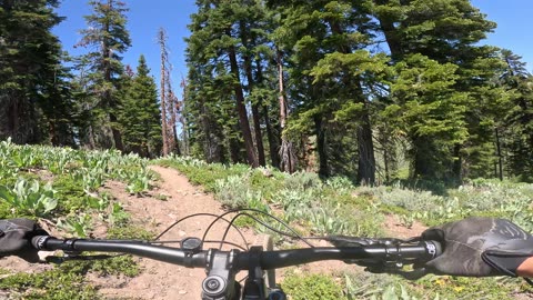 [MTB] Sunflower Hill Trail, (Lake Tahoe, NV)