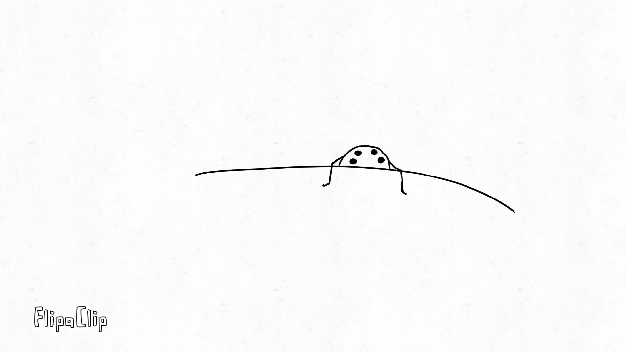 Flipaclip spider animation