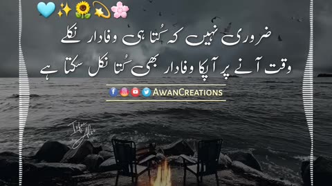 Wafadar | Urdu Post | Status Video | Rumble Video