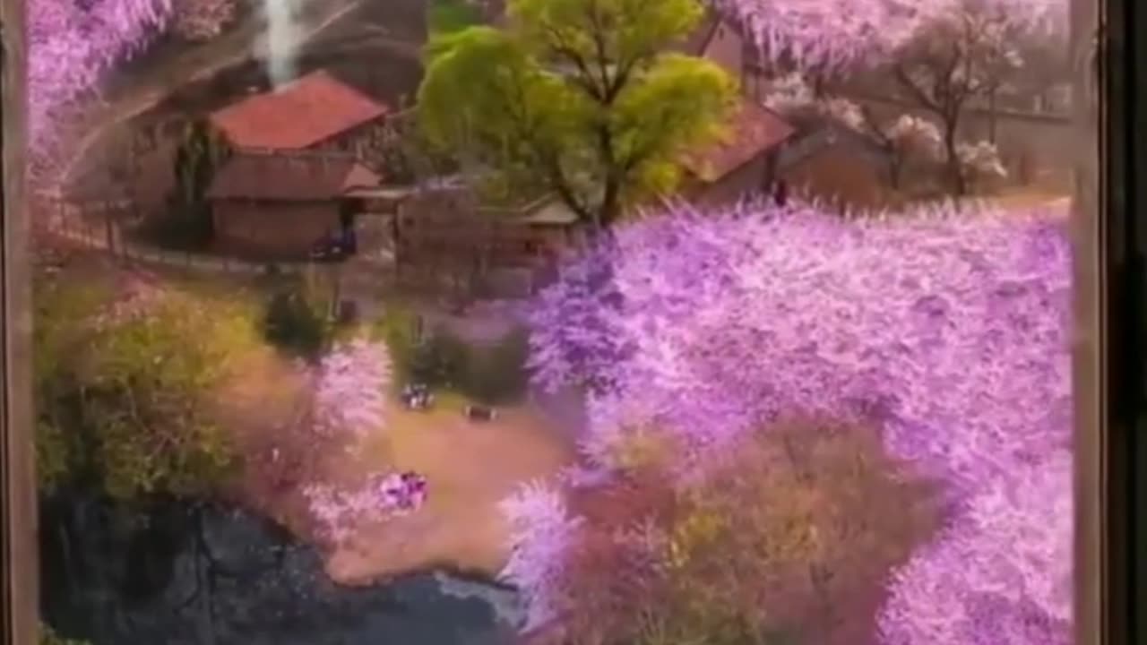 Raining Beautiful View And Unique Pink Flowers
