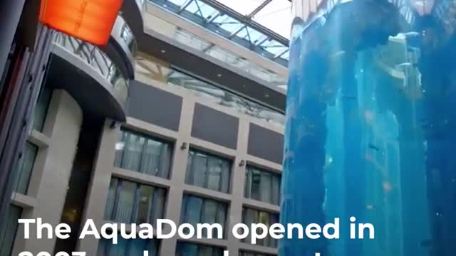 Huge AquaDom hotel aquarium explodes in Berlin