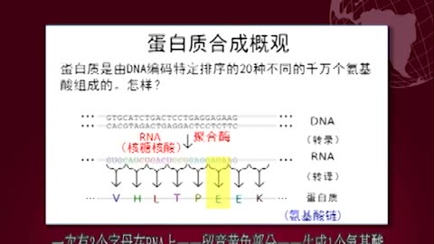 生物变化不等于进化论