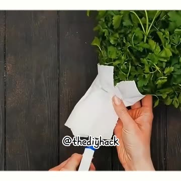 Real Food Storage Ideas