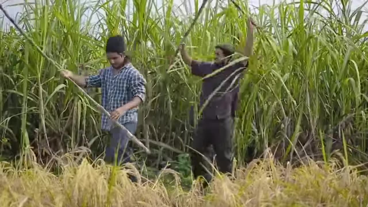 Comedy video Fufa part 1