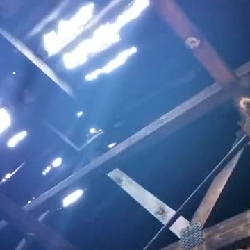 Fire family helpless