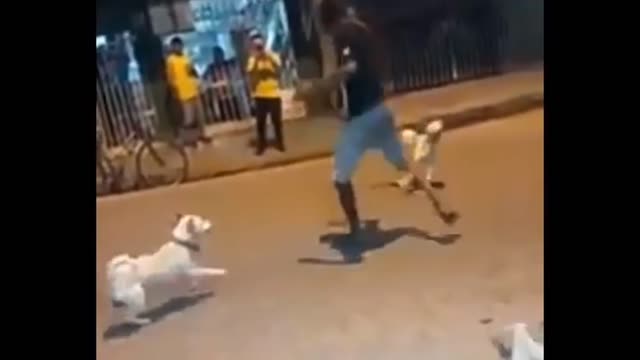 Defend against dog attack.