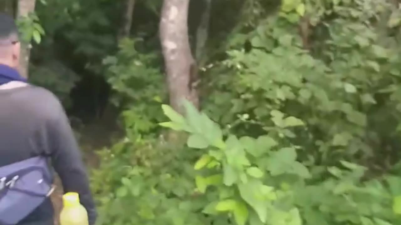 Walking with nature