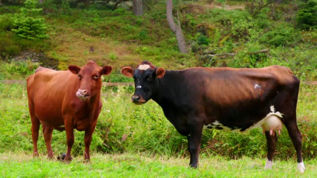 Farmen - Norge S13E01