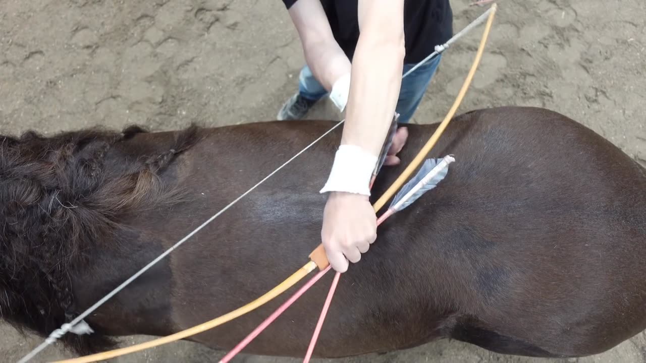 "LARS andersen, researching recreating native archery"