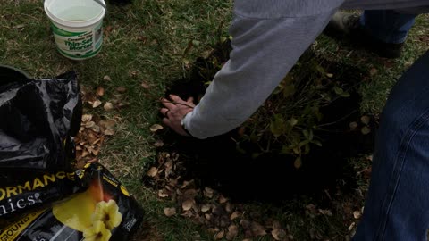 A little fall gardening