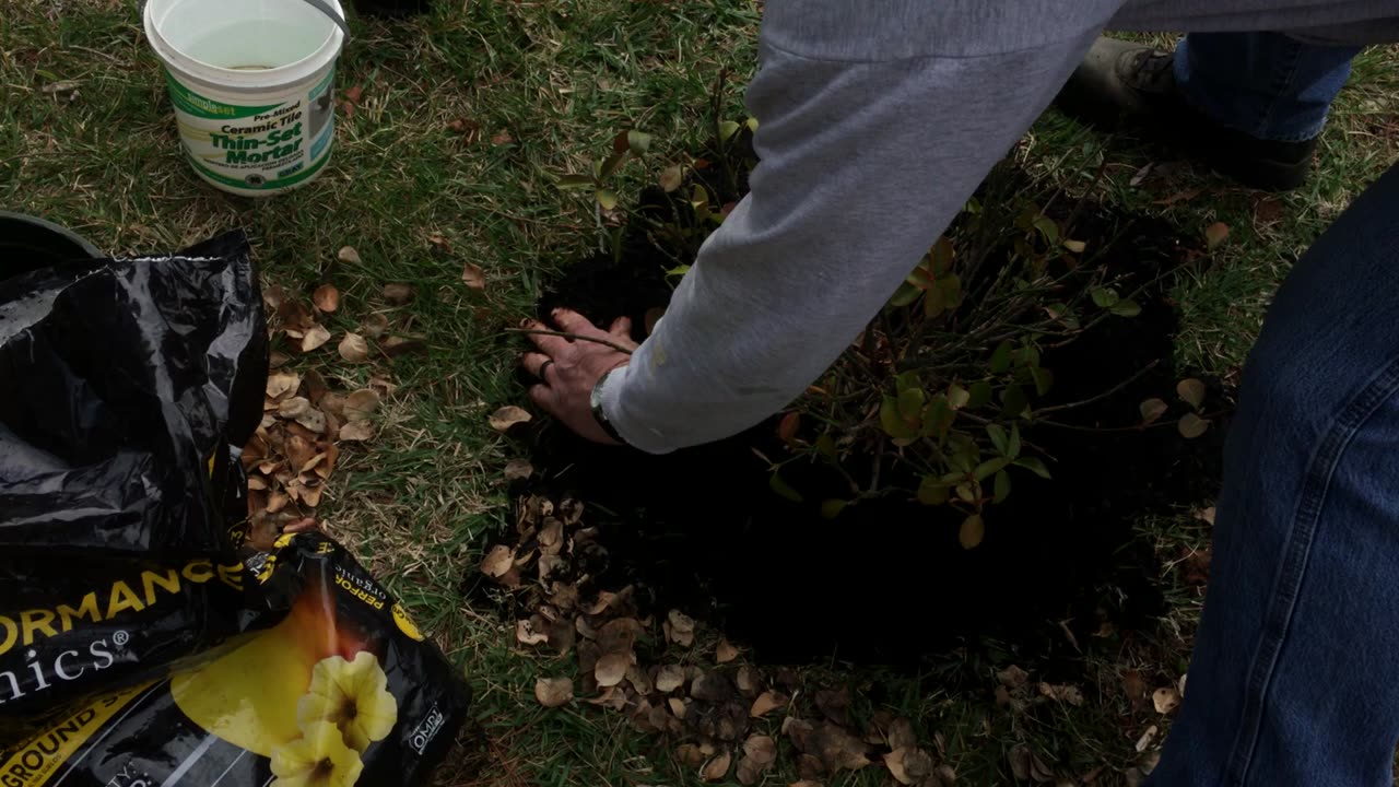 A little fall gardening