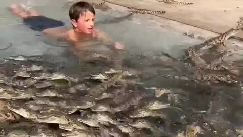 BOY SWIMMING WITH BABY CROCODILE