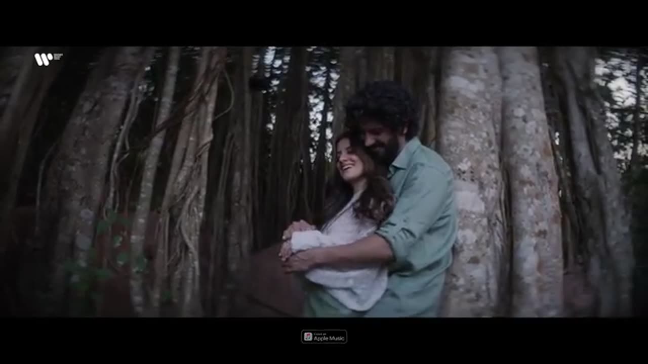 Heeriye song |trending song