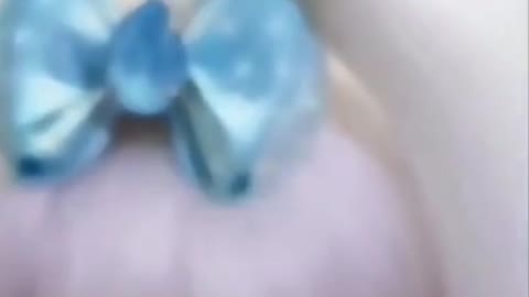 the dog is so beautiful