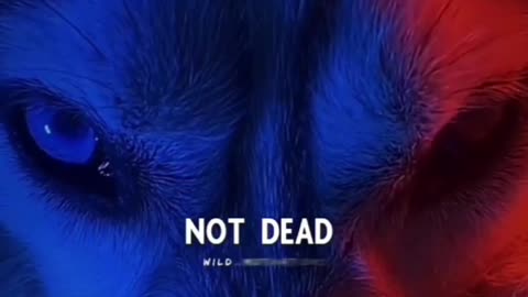 Motivational video