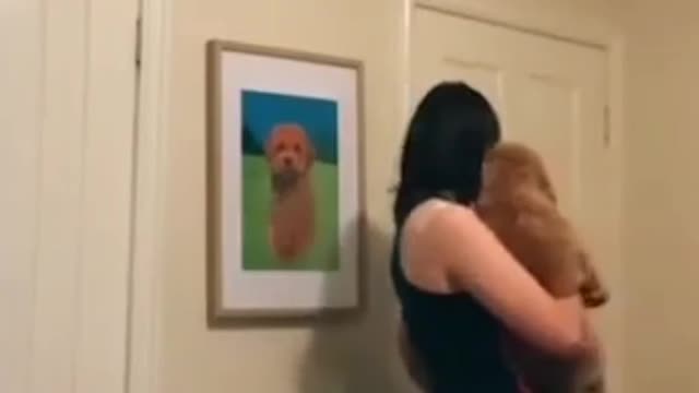 Dog 🐕 training video