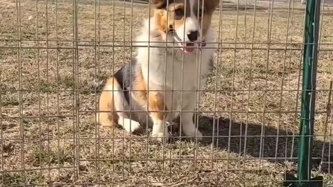 First time on the playground