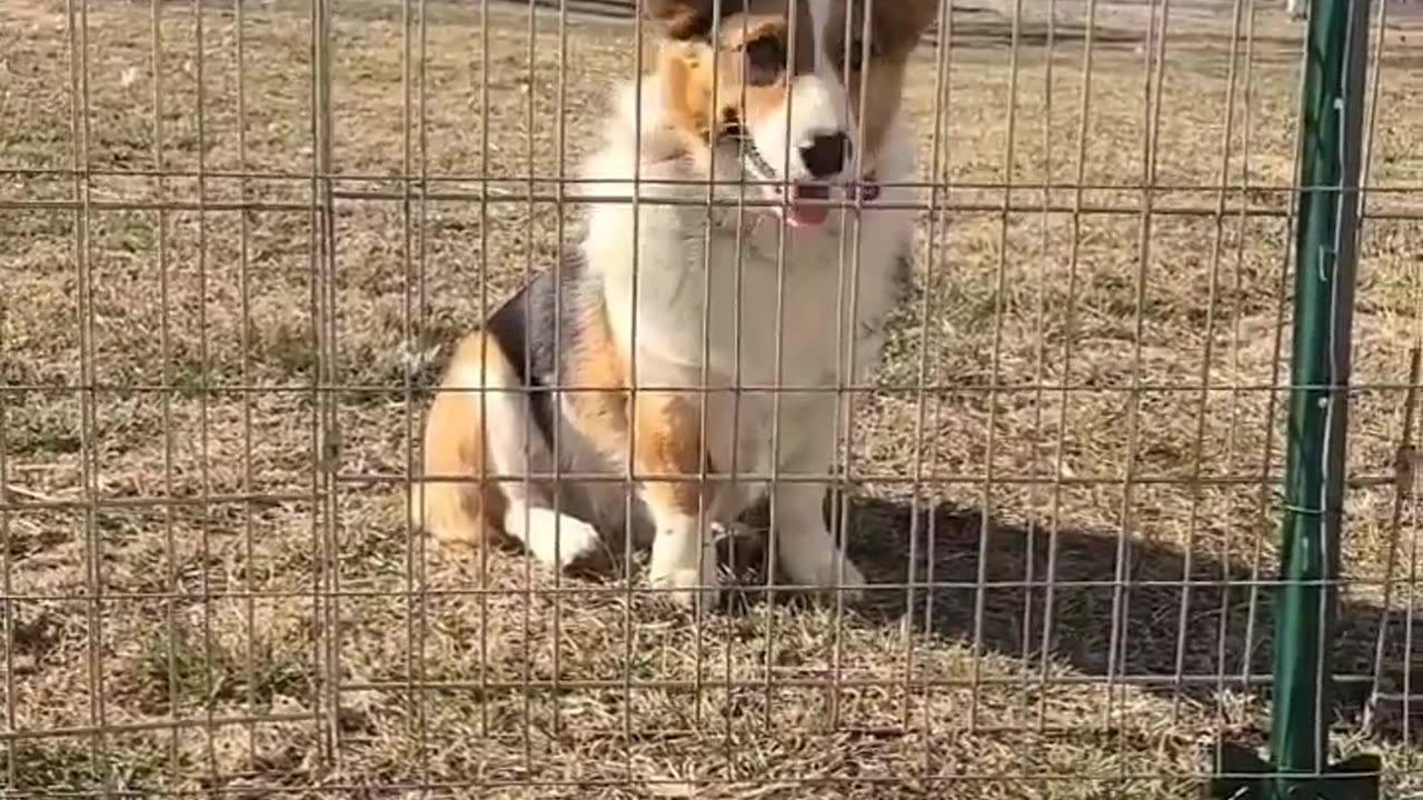 First time on the playground