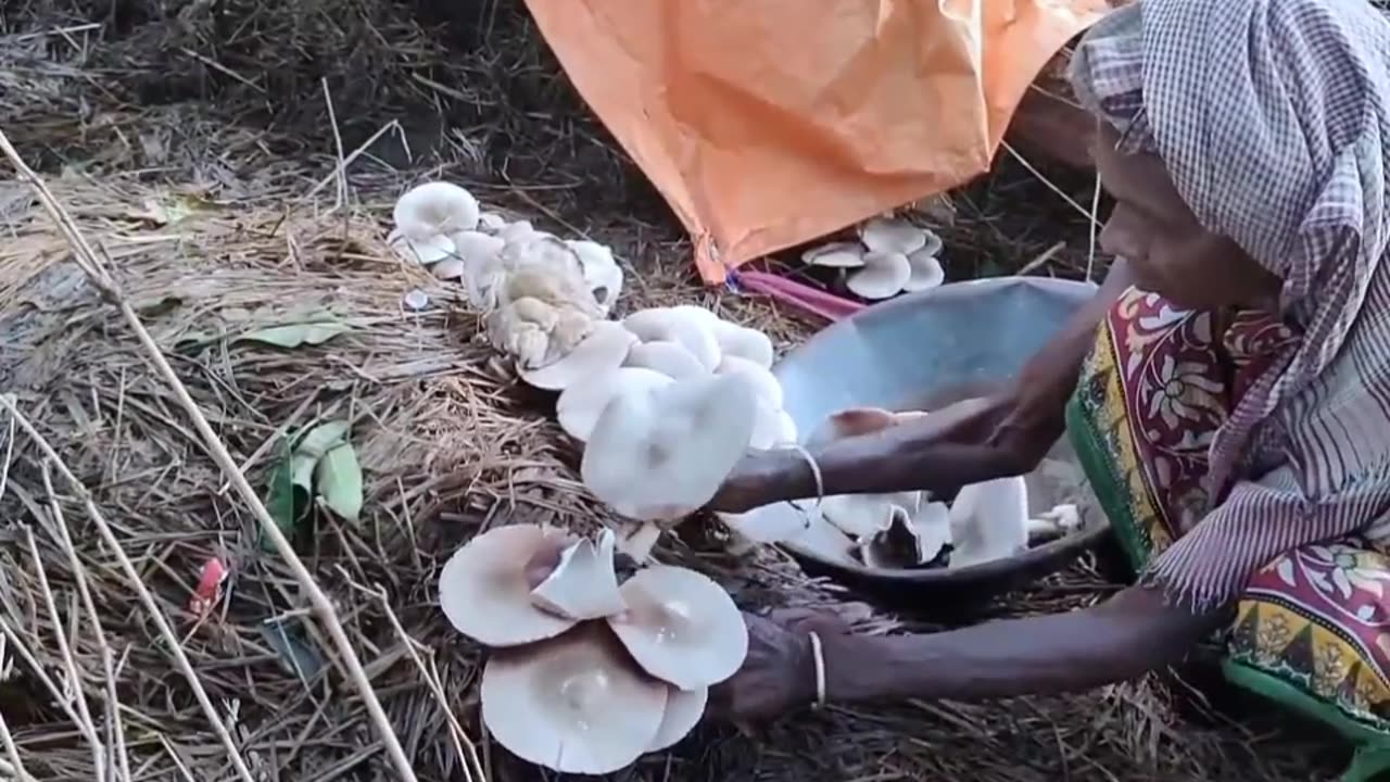 our GRANDMA Cooking MEAT CURRY with MUSHROOM || village GRANDMA cooking&eating with hot rice