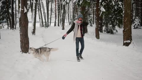 Very cute dog moring walk in snow