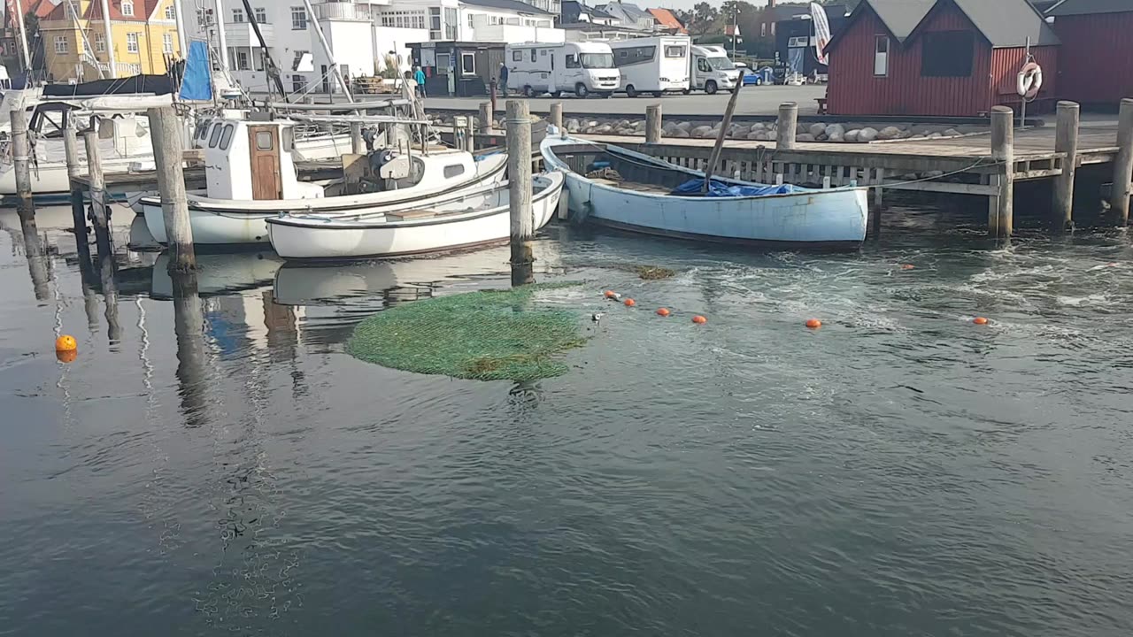 Tangen trækkes ud af Lohals Havn.