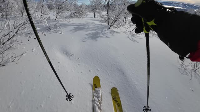 Breaking trail to Mary's boundry