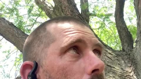 The ways of the world versus reality