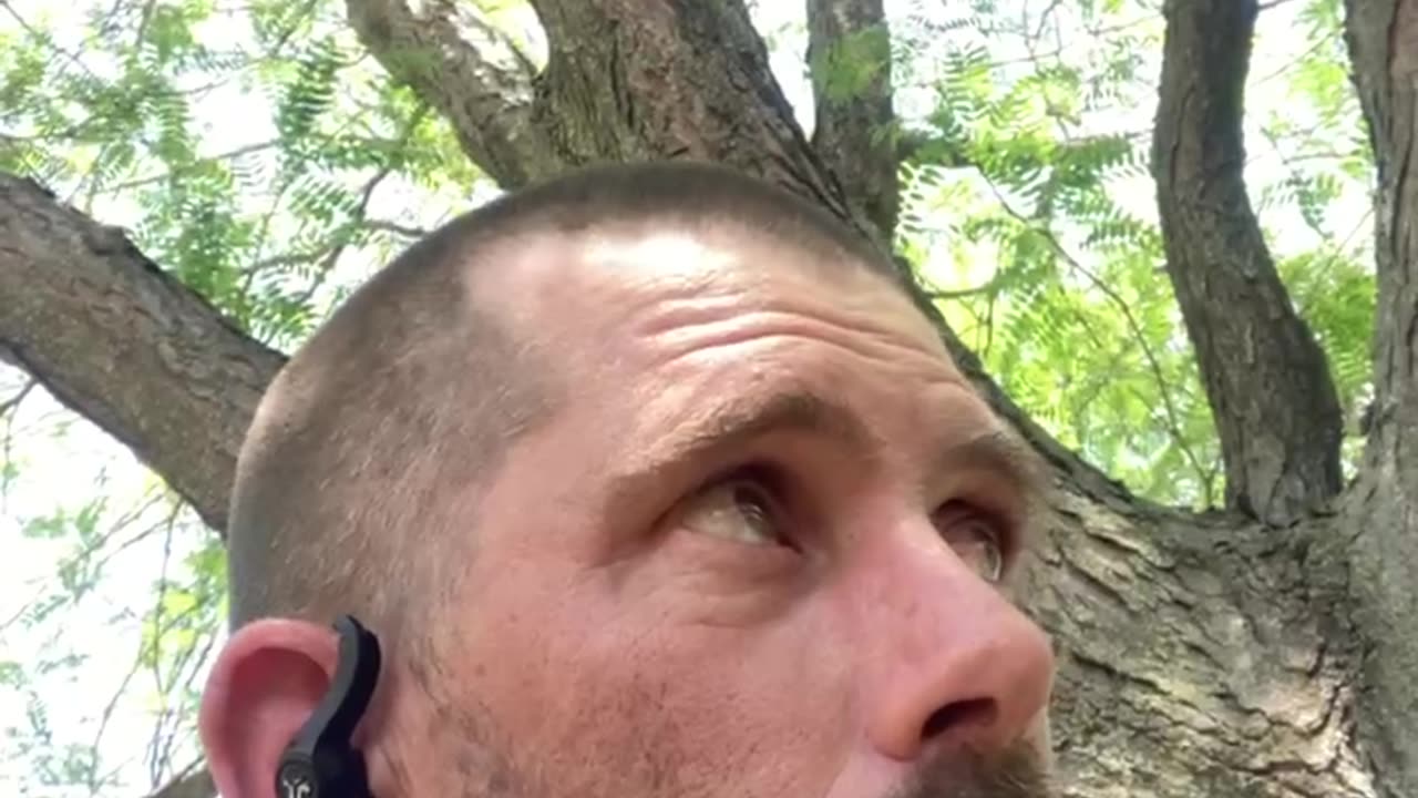 The ways of the world versus reality