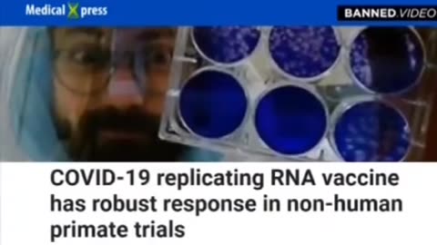 Reese report - 5G + covid