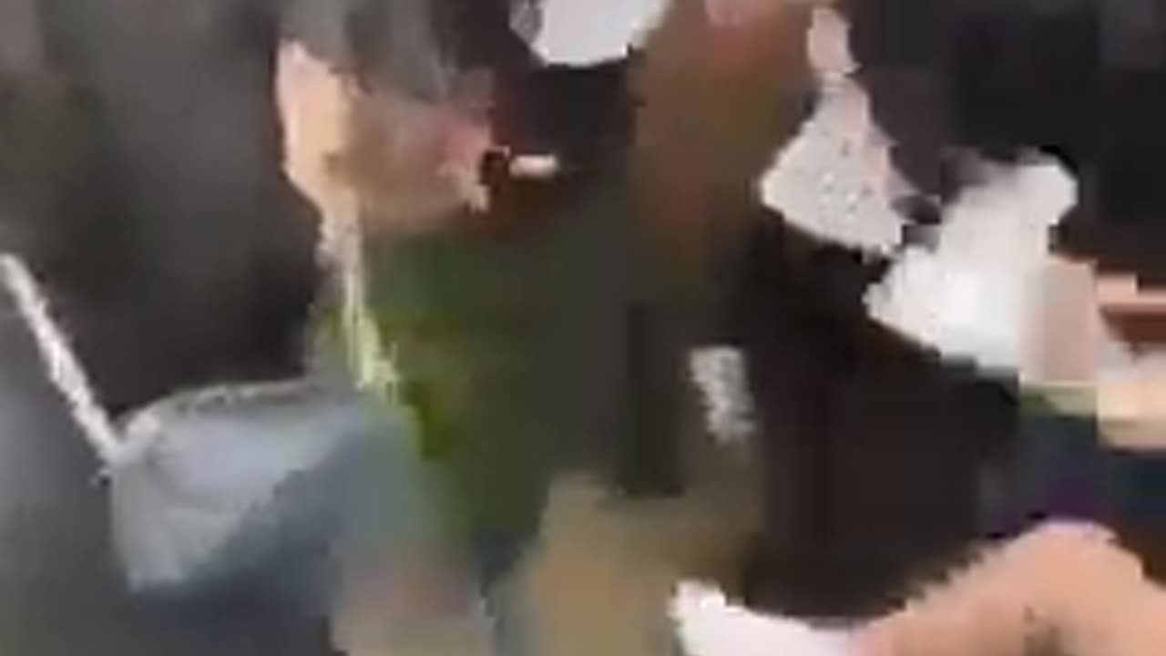 So this is being widely reported as fight between a Syrian and a British girl at Ongar Academy...