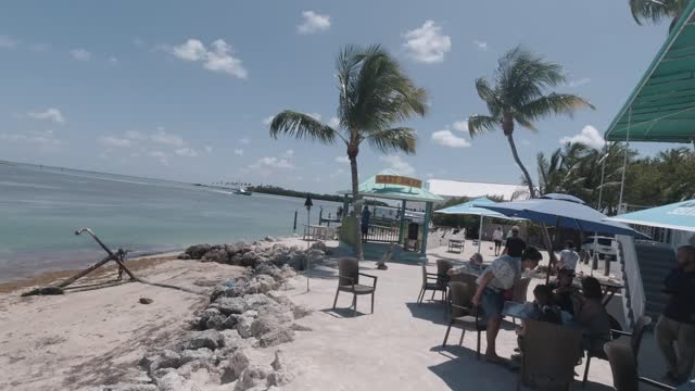 LAZY DAYS, OCEAN FRONT DINING, FLORIDA KEYS, FEED TARPON AND SHARKS