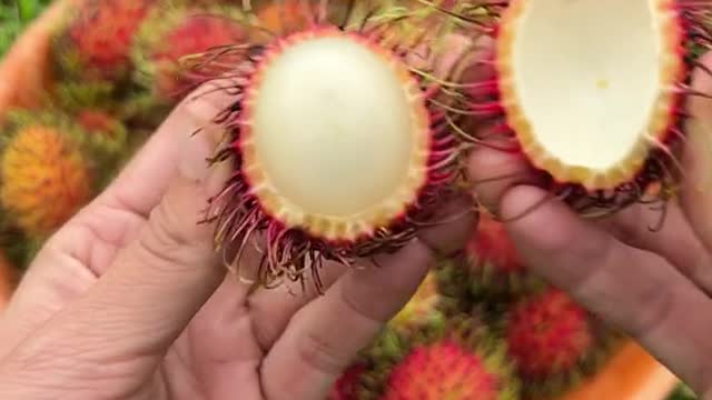 🍃Have you tried rambutan🍃