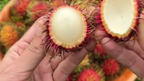 🍃Have you tried rambutan🍃