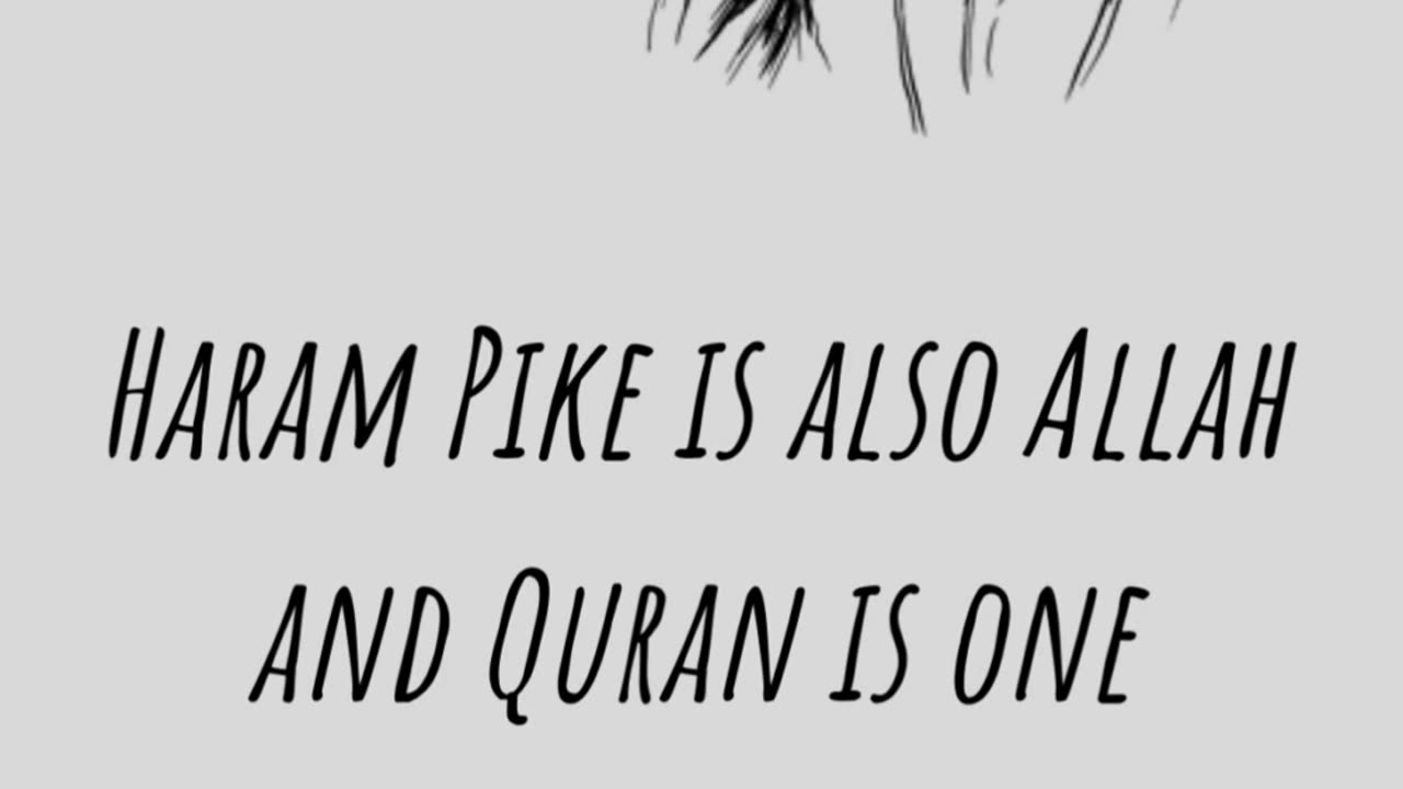 Haram Pike Is Also Allah And Quran Is One It Was A Big Deal That Muslims Were Also One.