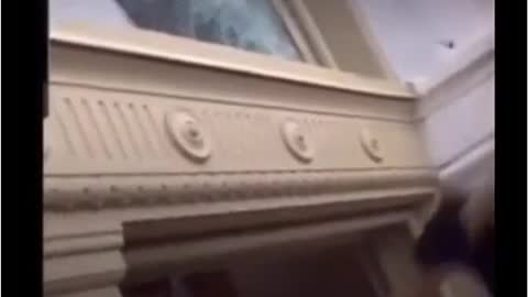 Capitol Staff Caught handing out Ball bats Jan 6