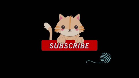 4k quality animal footage _cats and kittens beautiful scence