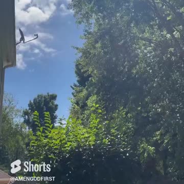 Peaceful day #shorts