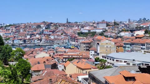 Portoducktours - Amphibious tour in porto