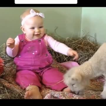compilation | baby animals 79 | cute animals 79 | kids #shorts