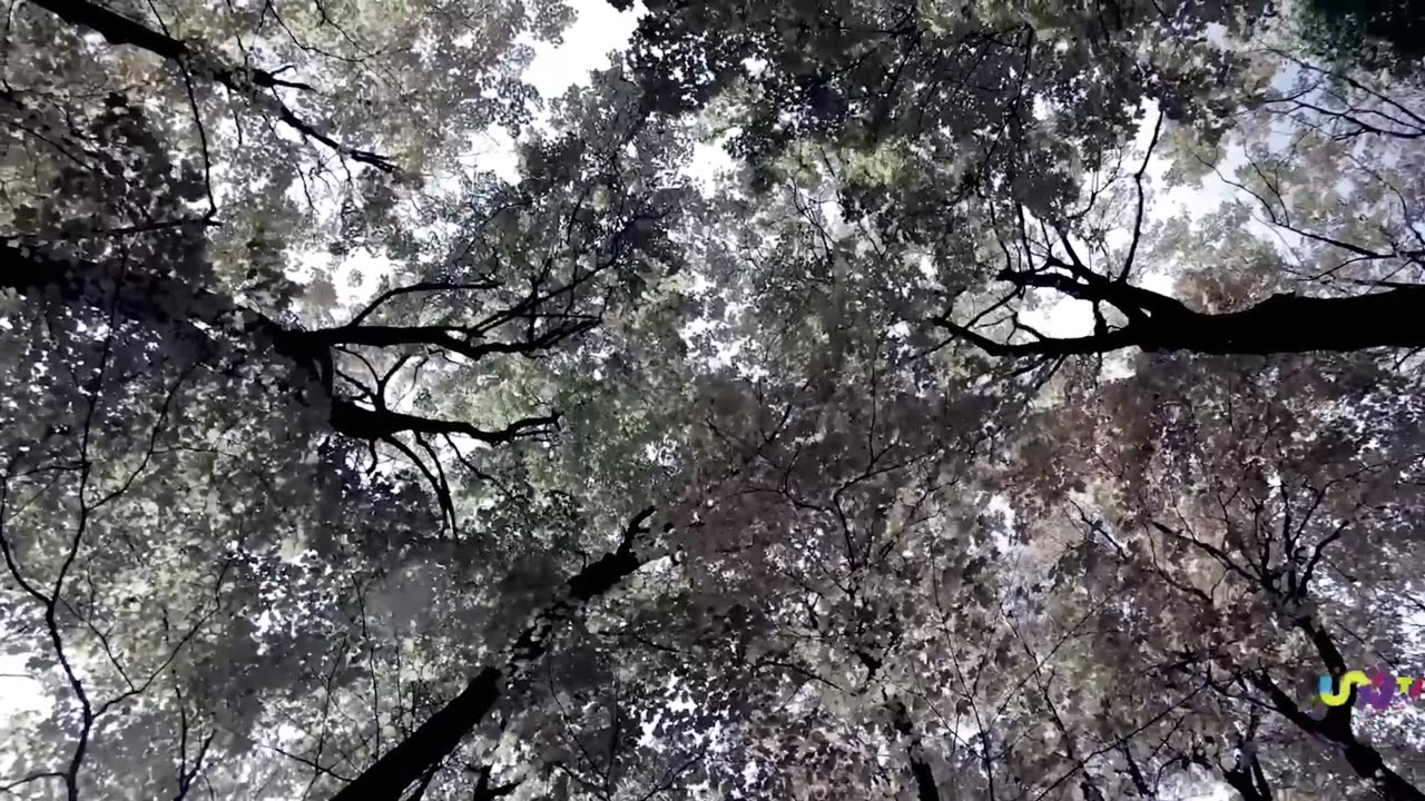 EL TIEMPO EN LA REGIÓN - MIÉRCOLES 19 DE JUNIO 2024