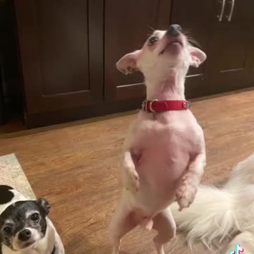 Yup, he works out 💪