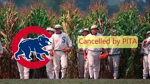 When the Major League WOKE up