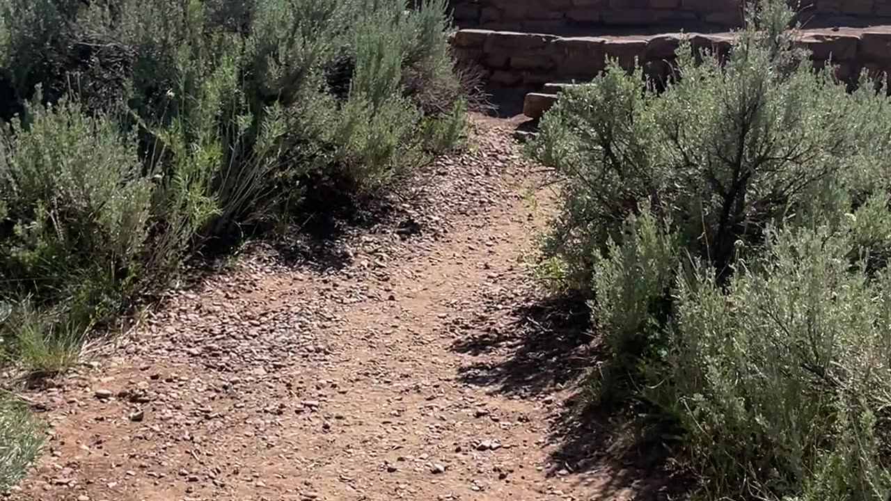 Mesa Verde Hike #4 - Coyote Village