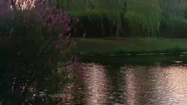 tranquility on the water