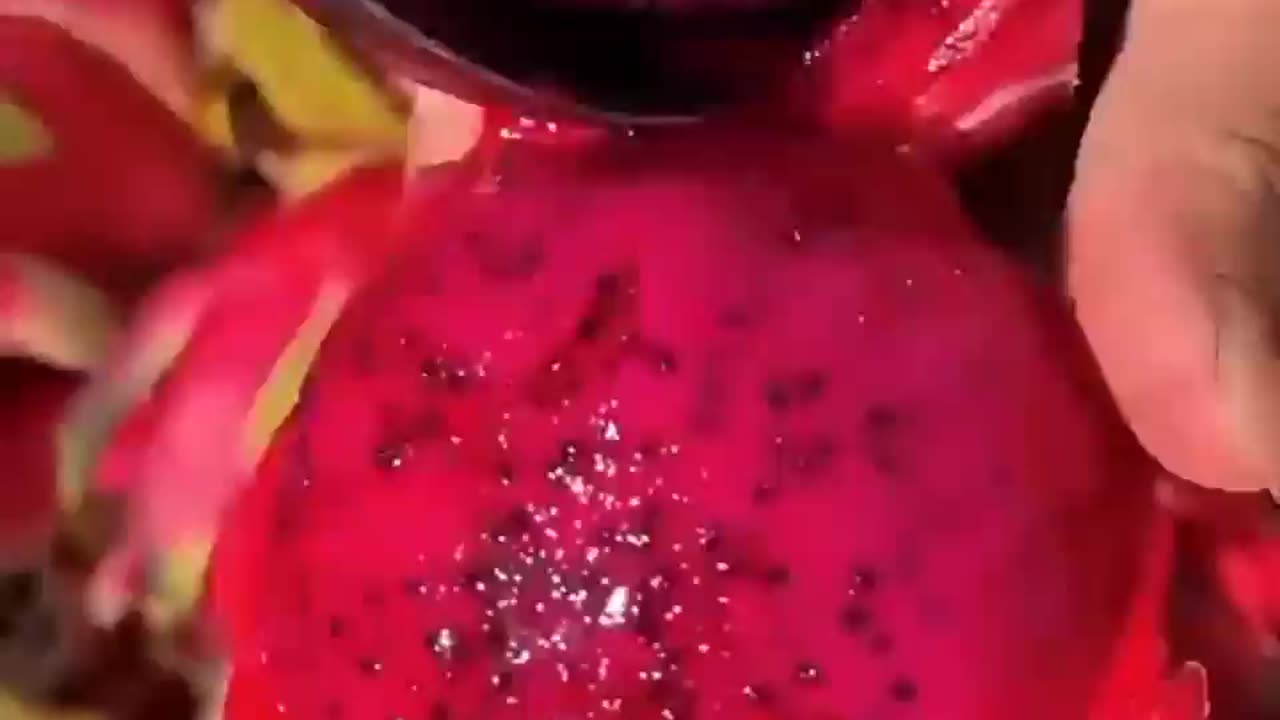 Beautiful fruit video