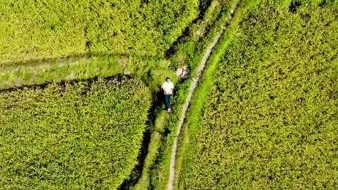 Lipa Valley and Kashmir Pakistan