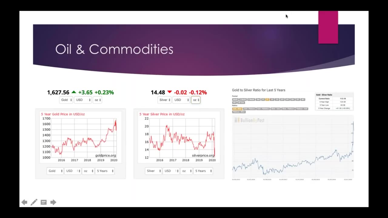 Weekly Webinar #1: “Unemployment, Stocks & Bailouts”