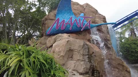 Top Things to Do at SeaWorld Orlando You Can’t Miss!