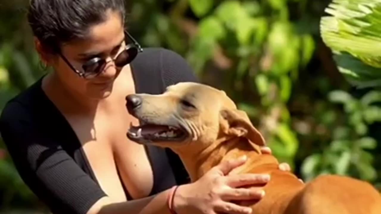 Babe #cute #art #shorts #sexiest #sexy #hot #ass #babe #bollywood #bra #milf #seminude #sex #funny